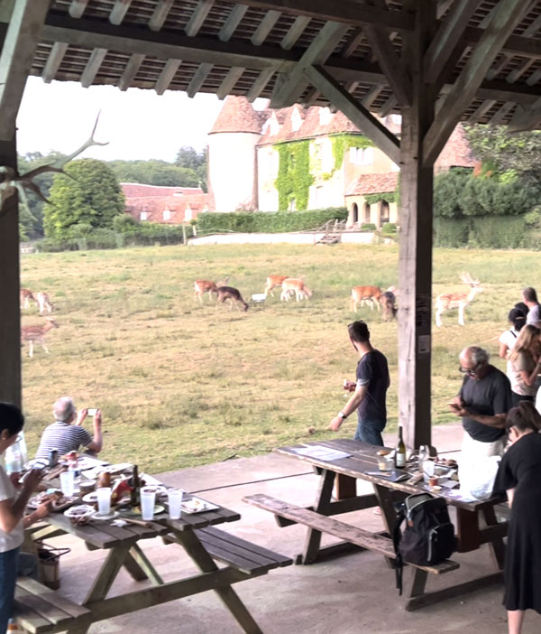Repas en extérieur devant les animaux au parc naturel de Boutissaint