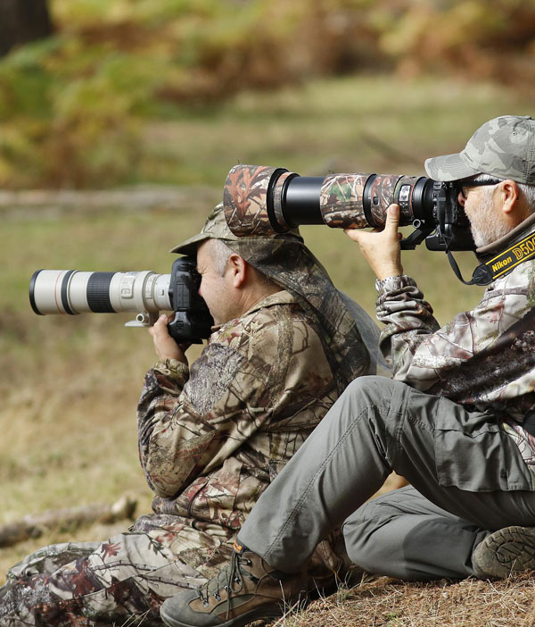 Deux photographes en habits de camouflages prenant des photos d'animaux dans le parc naturel de Boutissaint