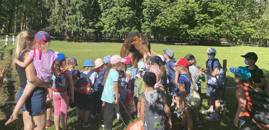 groupes d'enfants autour d'un cheval dans le parc naturel de Boutissaint
