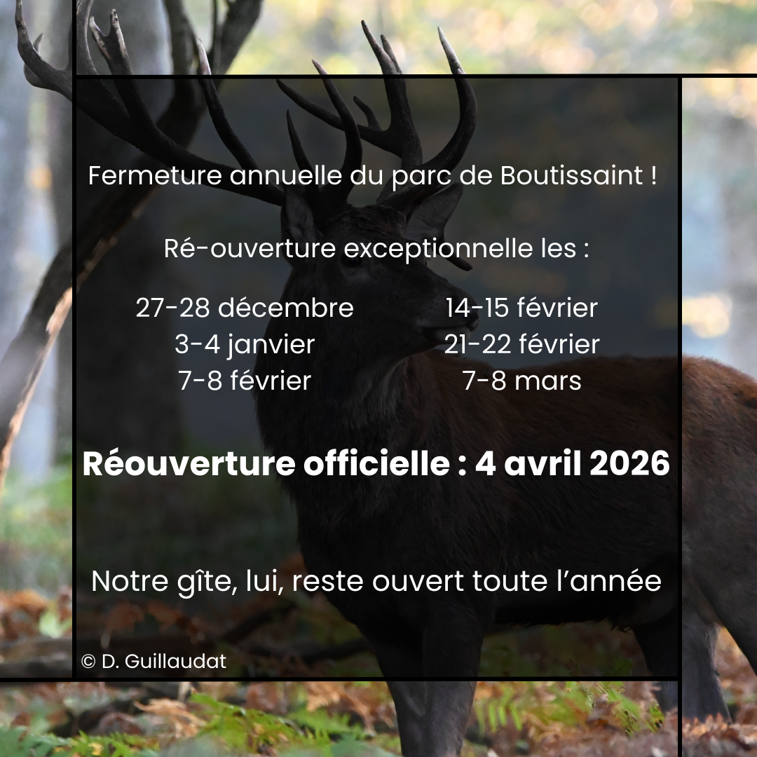 Le parc de Boutissaint ferme ses portes pour la saison Suivez nous sur les réseaux pour suivre nos aventures avant la réouverture du parc en avril prochain (6)